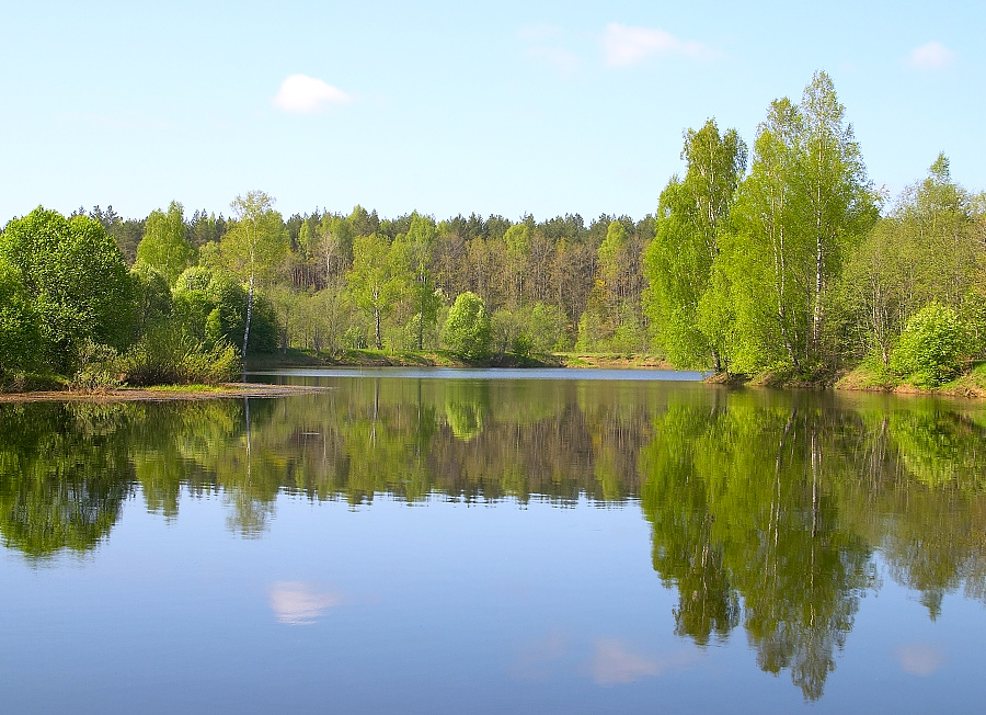 Озеро Большое Воронское в Карелии – информация о рыбалке и окрестностях